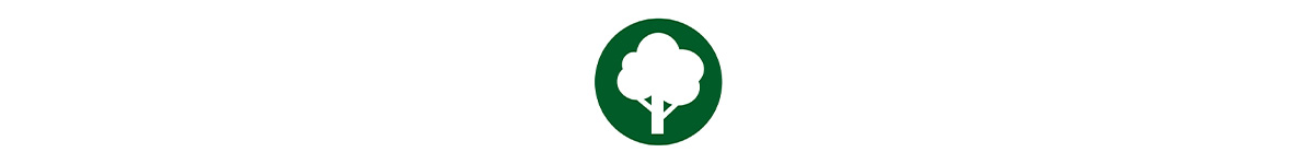 Wood Friendly Wood Filler 